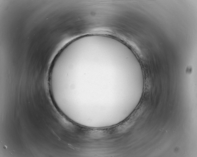 X0000103291470200809191818