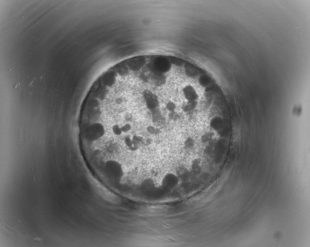 X0000103291471200809191818