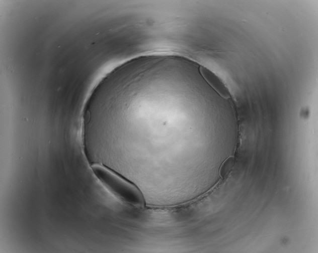 X0000103291472200809191818