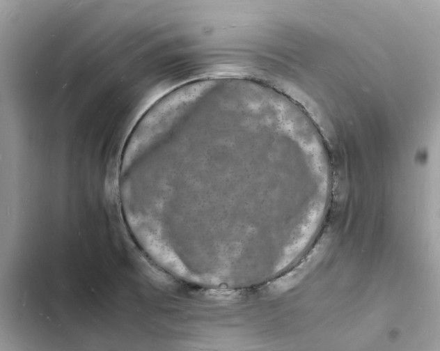 X0000103291473200809191818