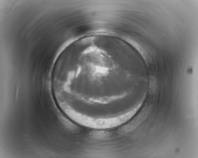 X0000103291474200809191818