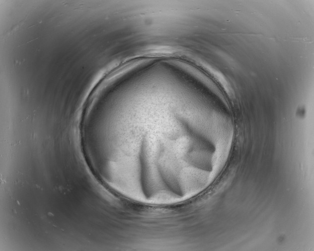 X0000103291475200809191818