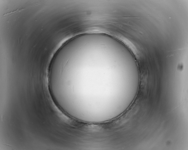 X0000103291476200809191818