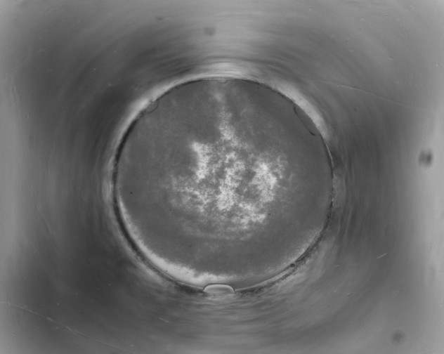 X0000103291477200809191818