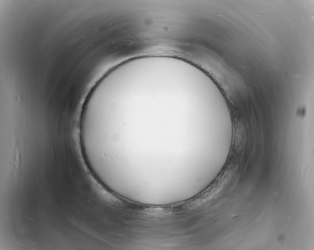 X0000103291478200809191818