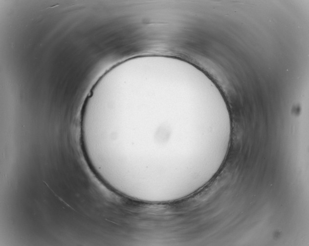 X0000103291479200809191818