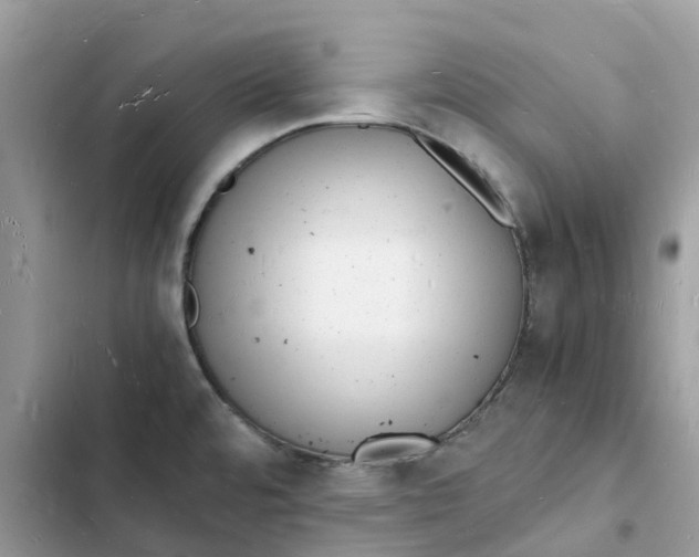 X0000103291480200809191818