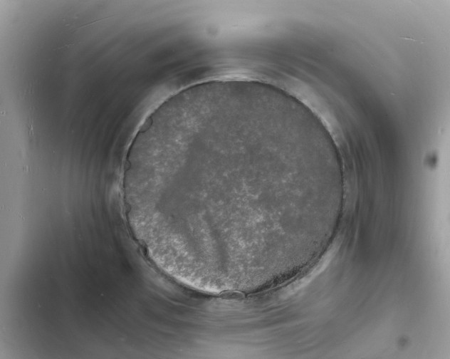 X0000103291481200809191818