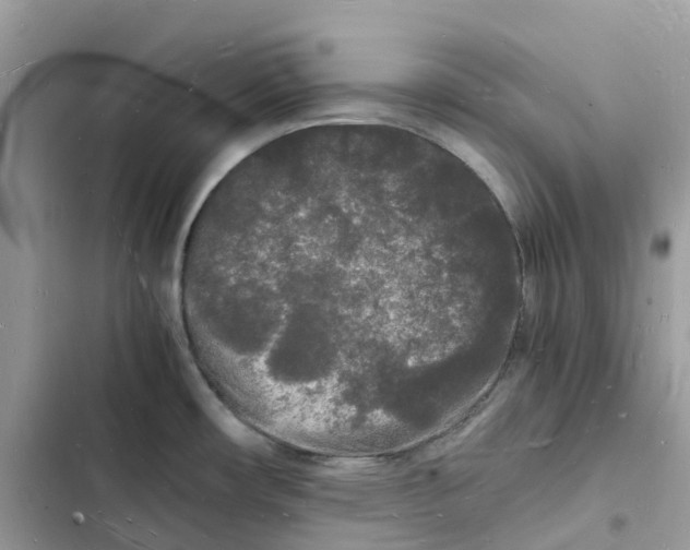 X0000103291482200809191818