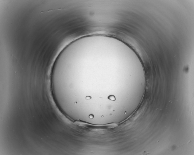 X0000103291483200809191818