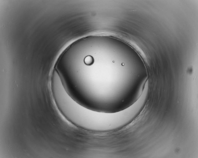 X0000103291484200809191818