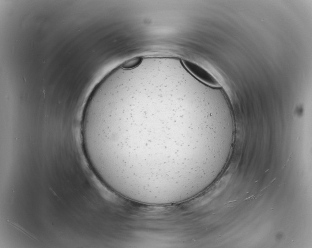 X0000103291485200809191818