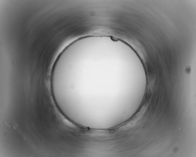 X0000103291486200809191818