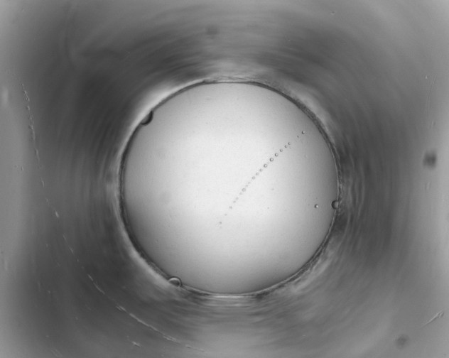 X0000103291487200809191818