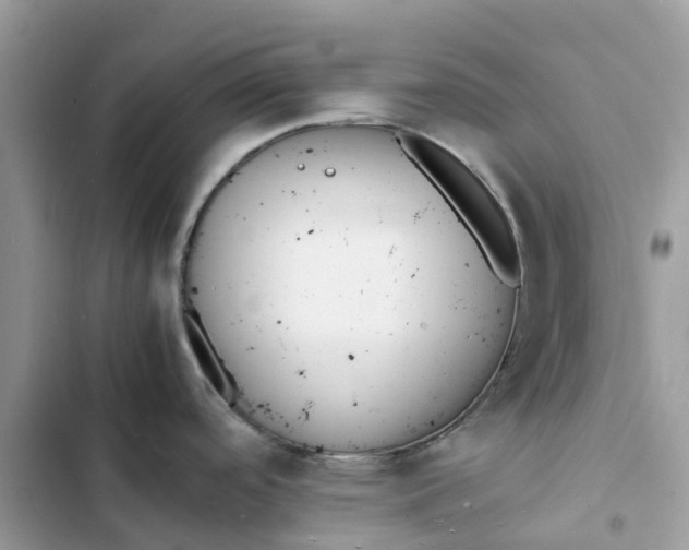 X0000103291488200809191818