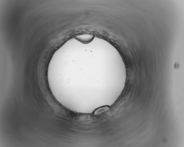 X0000103291489200809191817