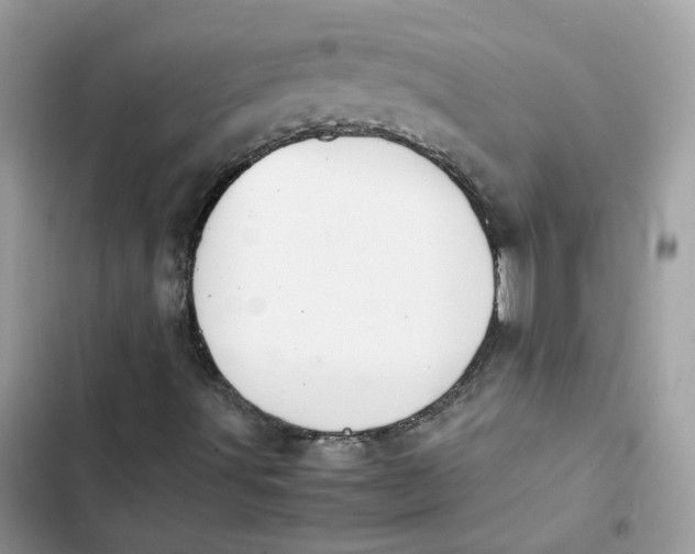 X0000103291491200809191817