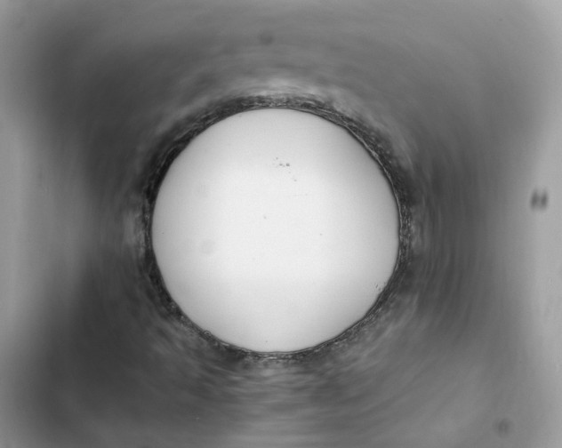 X0000103291493200809191817