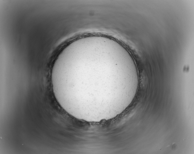 X0000103291494200809191817