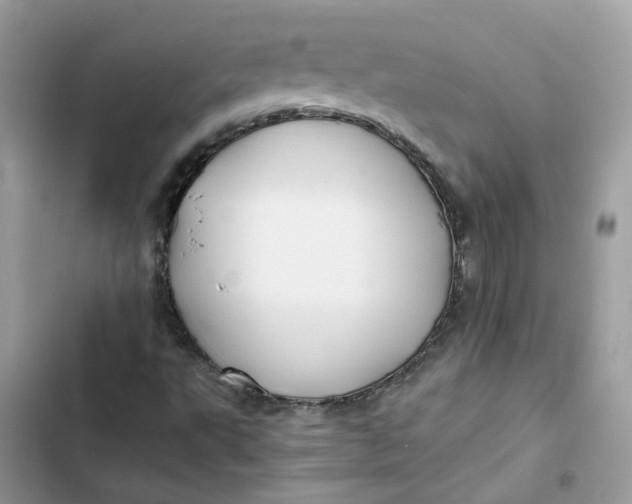 X0000103291495200809191817