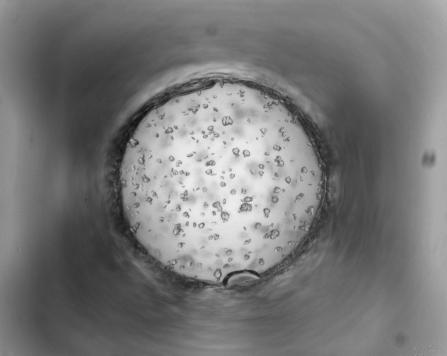 X0000103291496200809191817