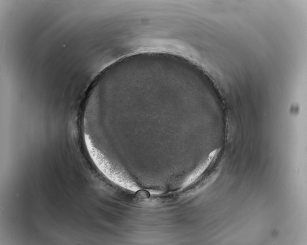 X0000103291497200809191817