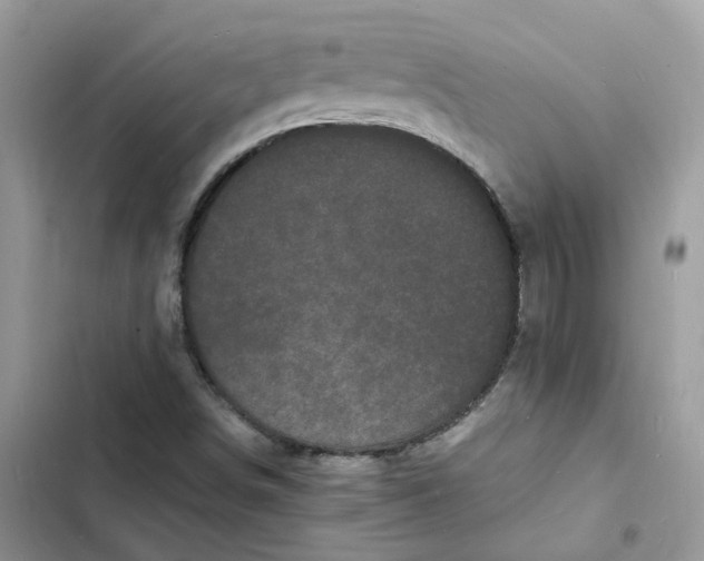 X0000103291498200809191817