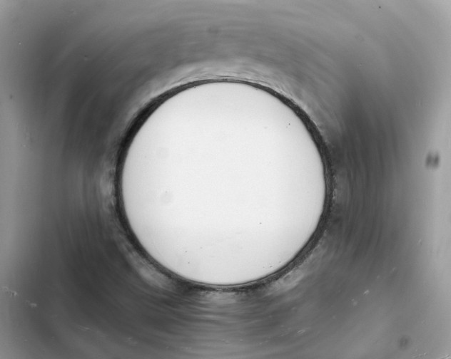 X0000103291499200809191817