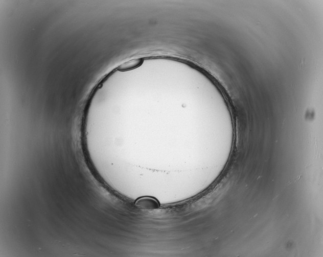 X0000103291500200809191817