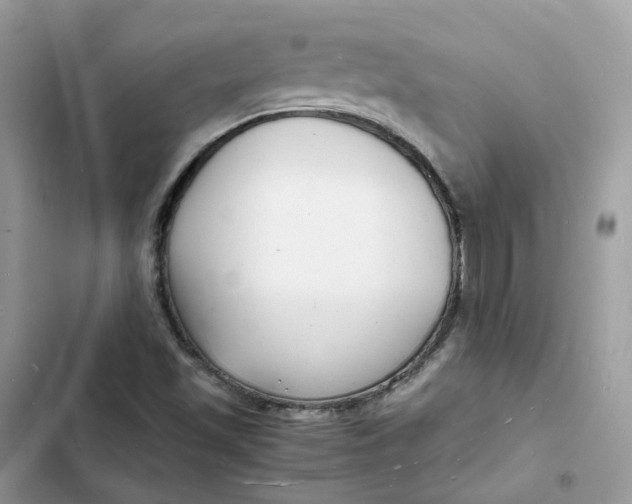 X0000103291501200809191817