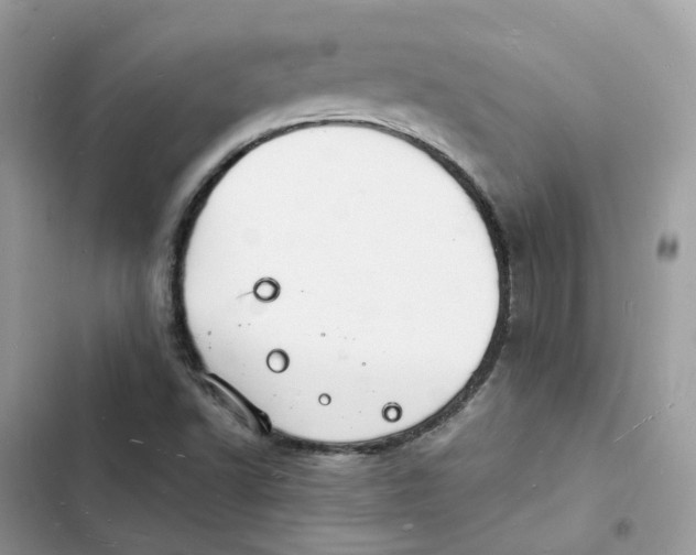 X0000103291502200809191817