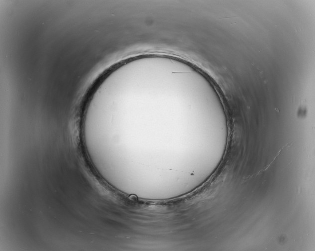 X0000103291503200809191817