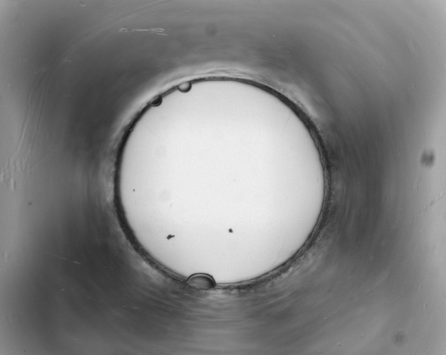 X0000103291504200809191817