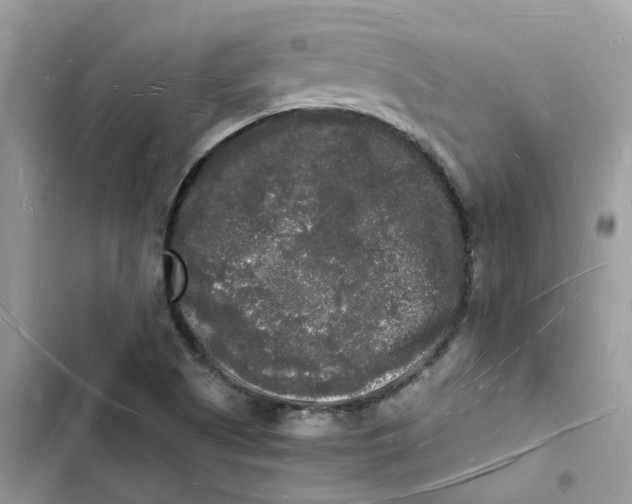 X0000103291505200809191817