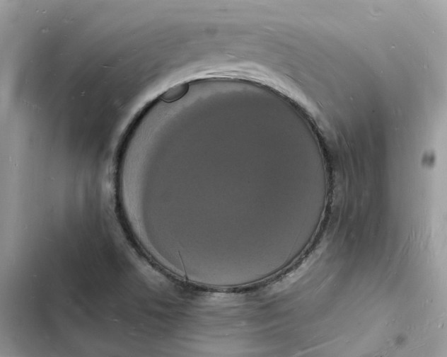 X0000103291506200809191817