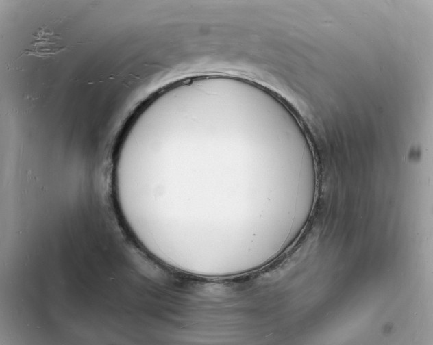 X0000103291507200809191817