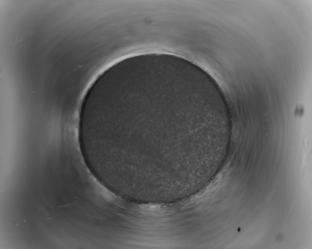 X0000103291508200809191817