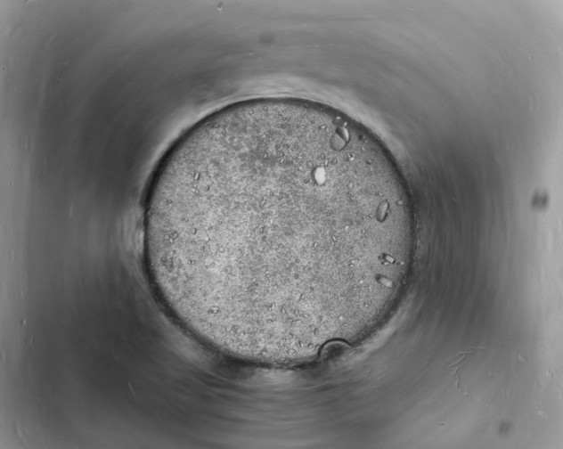 X0000103291509200809191817