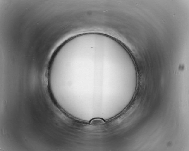 X0000103291510200809191817