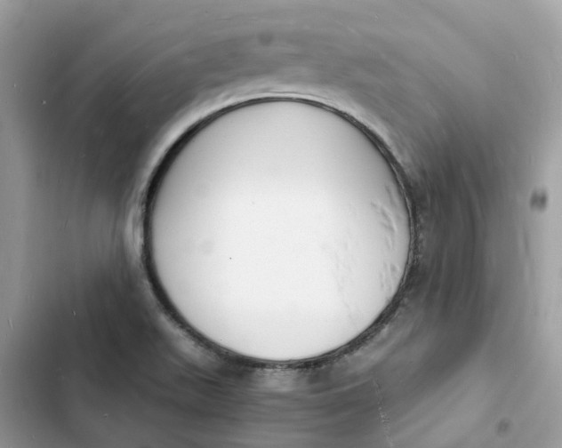 X0000103291511200809191817