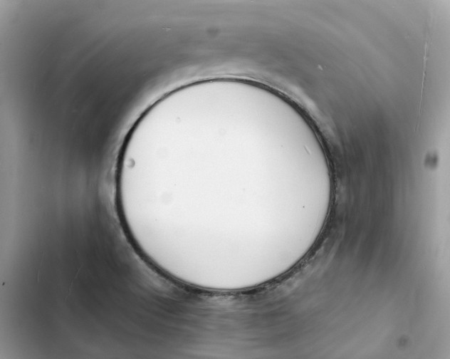 X0000103291512200809191817