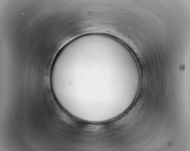 X0000103291513200809191817