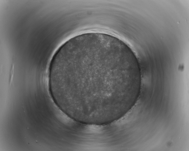 X0000103291514200809191817