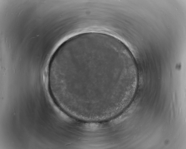 X0000103291515200809191817