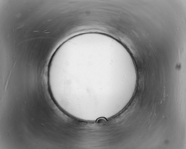 X0000103291516200809191817