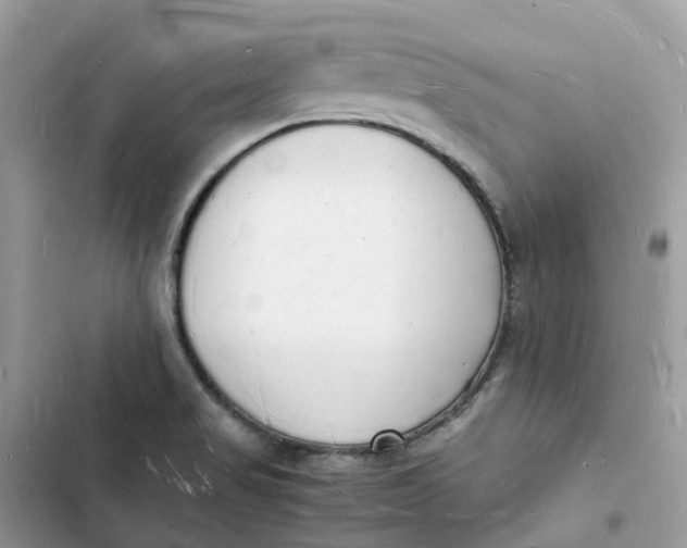 X0000103291517200809191817