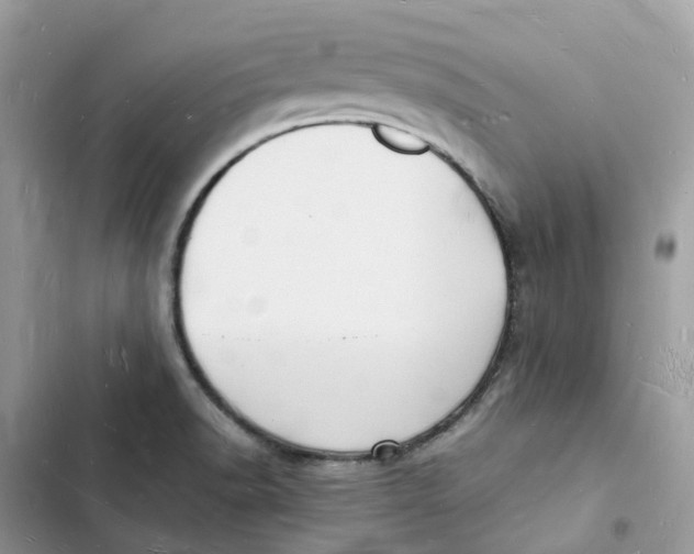 X0000103291518200809191817