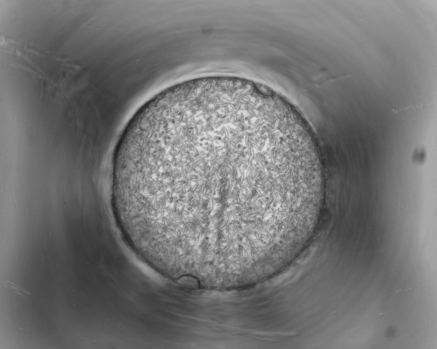 X0000103291519200809191817