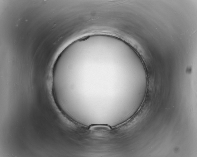 X0000103291520200809191817