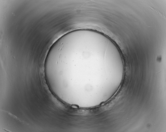 X0000103291521200809191817